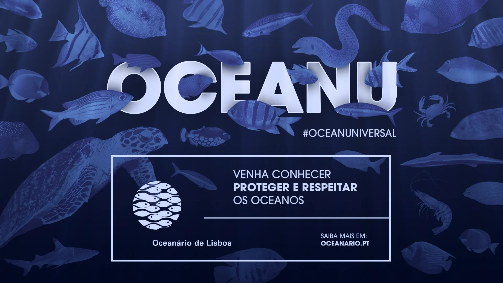 Oceanário de Lisboa – Oceanu — campaign graphic with OCEANU title over blue sea creatures